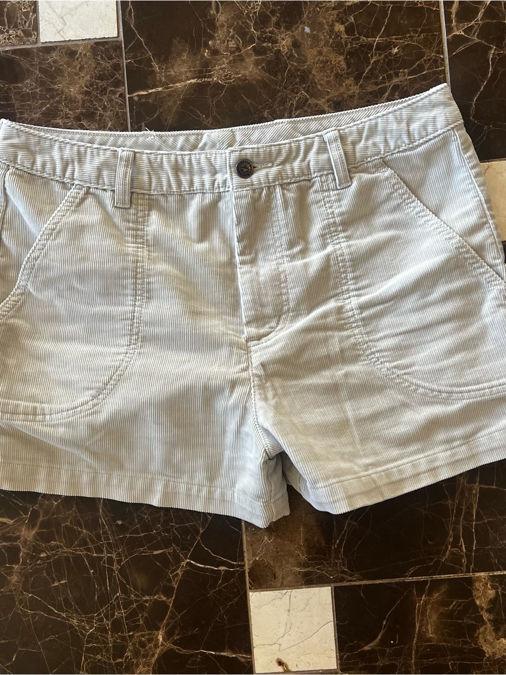 Patagonia Light Blue Corduroy Women's Shorts